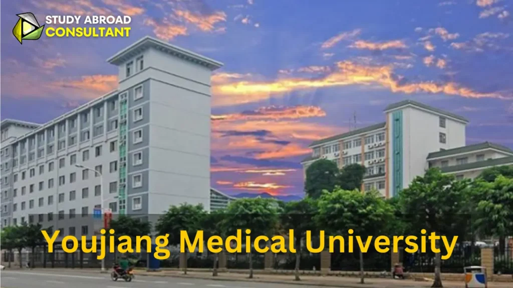 Youjiang Medical University For Nationalities